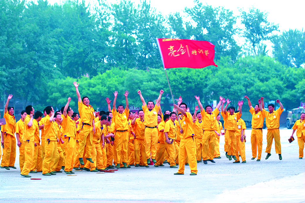龍發(fā)裝飾的社會(huì)理想，都在通過什么樣的方式踐行？